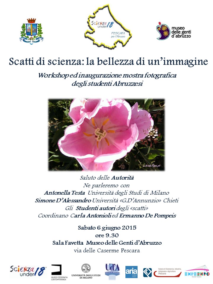 manifesto scatti 2015